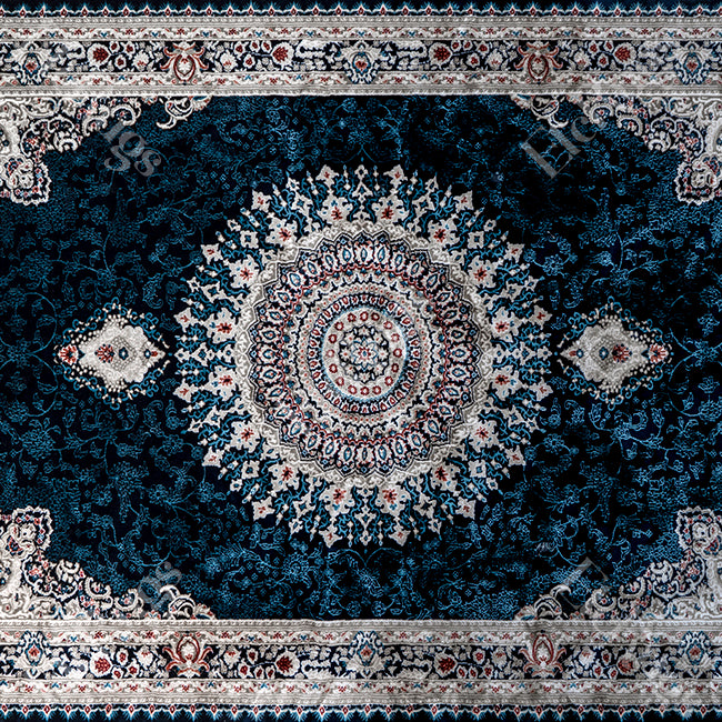 NAVY-NAVY TRADITIONAL RUG - SILK VERA-P256D