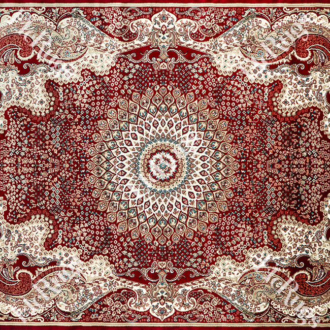 D.RED-D.RED TRADITIONAL RUG - SILK VERA-P0828