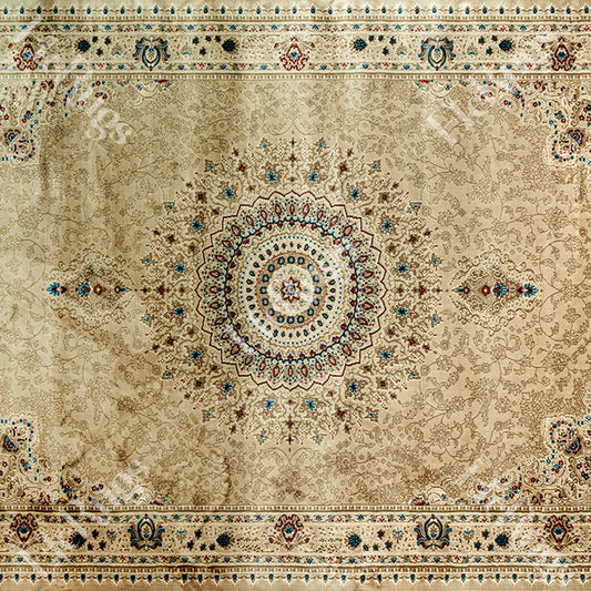 BEIGE-BEIGE TRADITIONAL RUG - SILK VERA-P256D