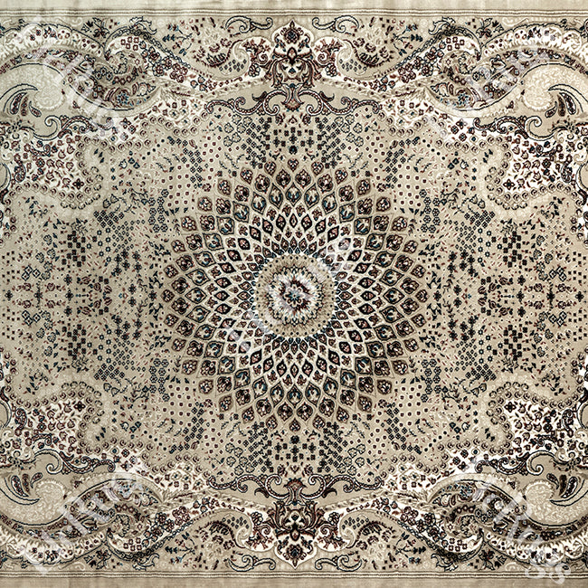 BEIGE-BEIGE TRADITIONAL RUG - SILK VERA-P0828