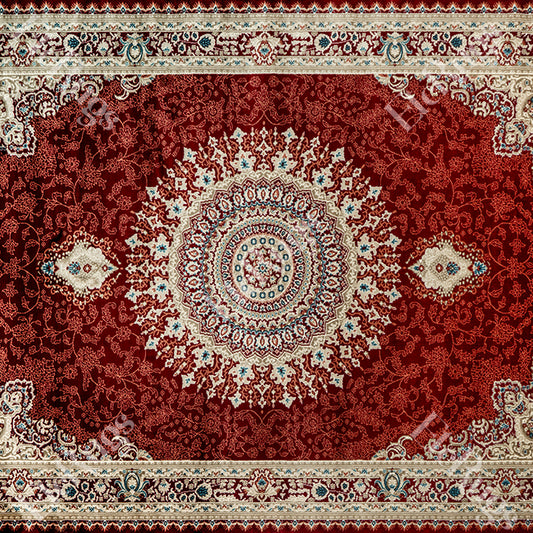 D.RED-BEIGE TRADITIONAL RUG - SILK VERA-P256D