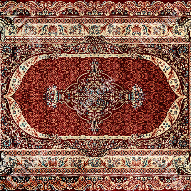 D.RED-D.RED TRADITIONAL RUG - SILK VERA-P982C