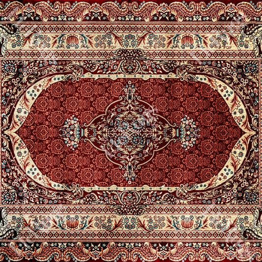 D.RED-D.RED TRADITIONAL RUG - SILK VERA-P982C