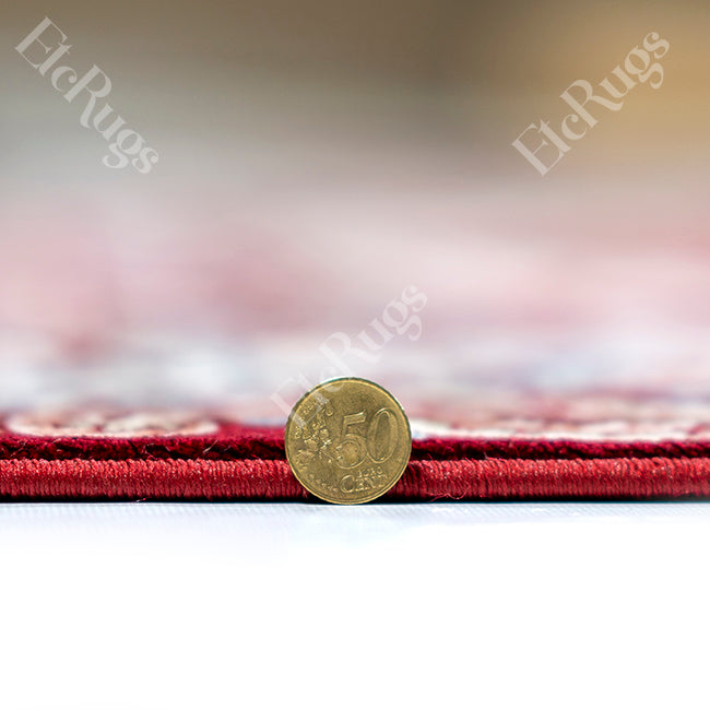 D.RED-D.RED TRADITIONAL RUG - SILK VERA-P982C