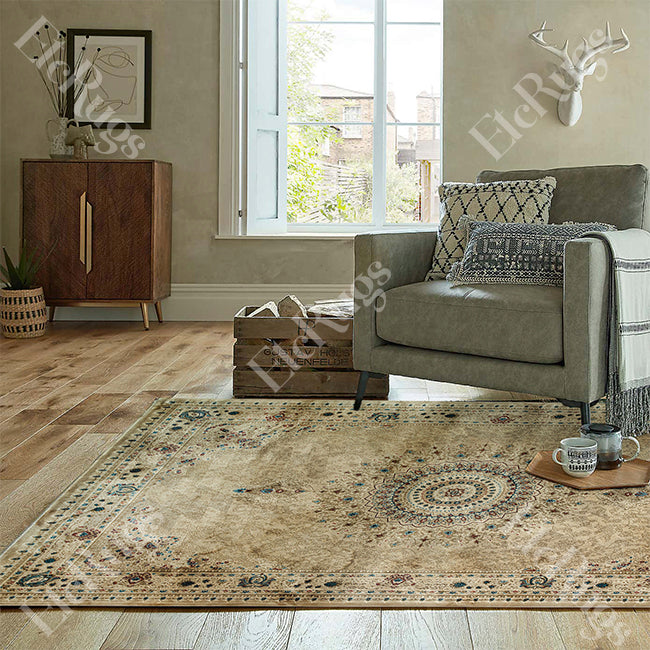 BEIGE-BEIGE TRADITIONAL RUG - SILK VERA-P256D