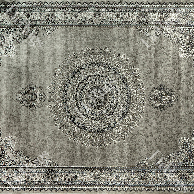 L.GRAY-L.GRAY TRADITIONAL RUG - SILK VERA-P256D